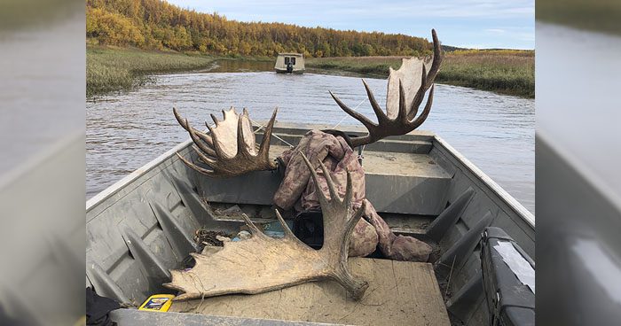 083021_Gary English-MOOSE-AK-GD-PL002