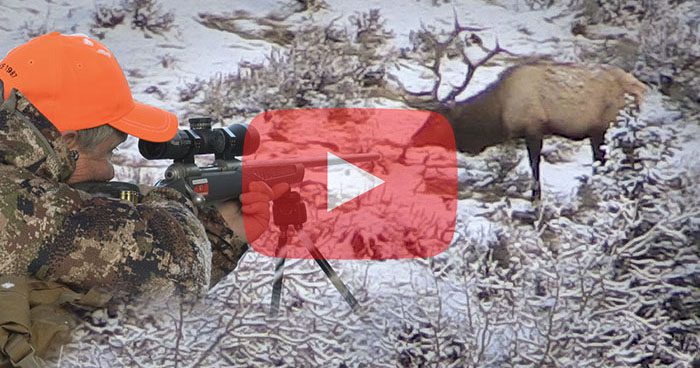 BTG_WY_Elk_JohnS_R_Thumbnail_V1