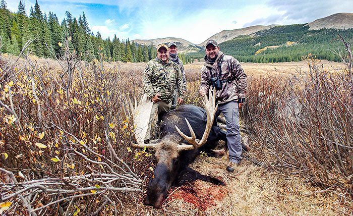 102521_Lelan Moulton-Moose-CO-GD-PL2