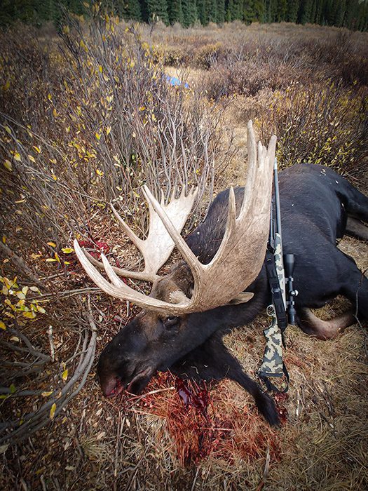 102521_Lelan Moulton-Moose-CO-GD-PL