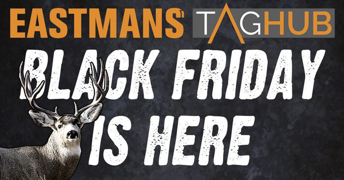 Black_Friday_TagHub_2021