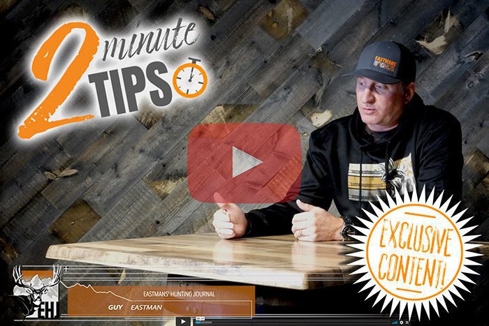 TH_TwoMinuteTips_Page