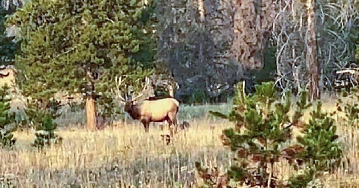 010321_Bob Morgan-ELK-UT-GD-PV_3