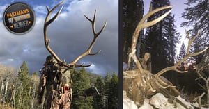 022822_Michelle Wolfley-ELK-WY-DIY-PL