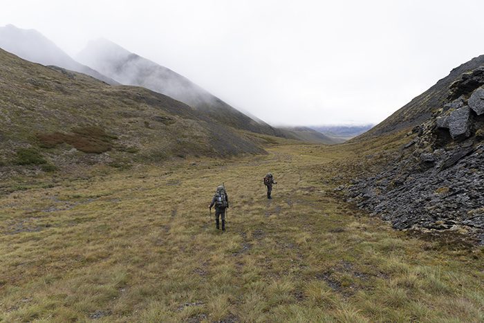 Chandler D'Agostino-DS-AK-DIY-PL