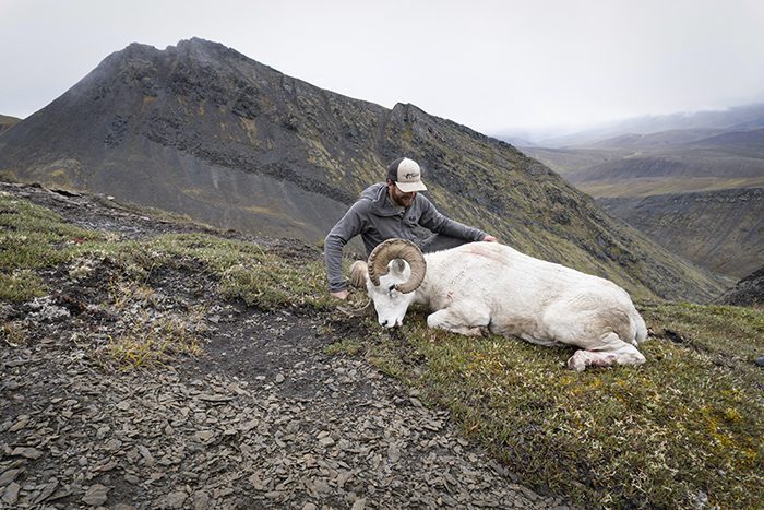 Chandler D'Agostino-DS-AK-DIY-PL