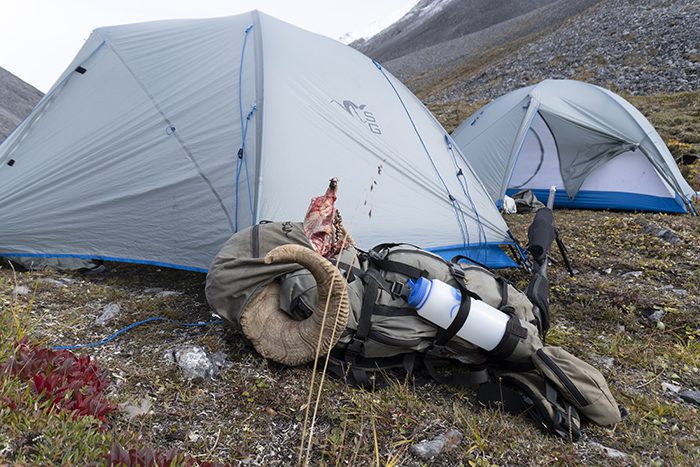 Chandler D'Agostino-DS-AK-DIY-PL