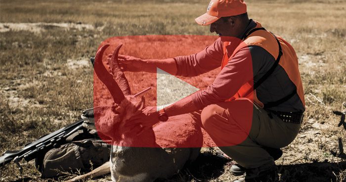 2014 CO Antelope Guy
