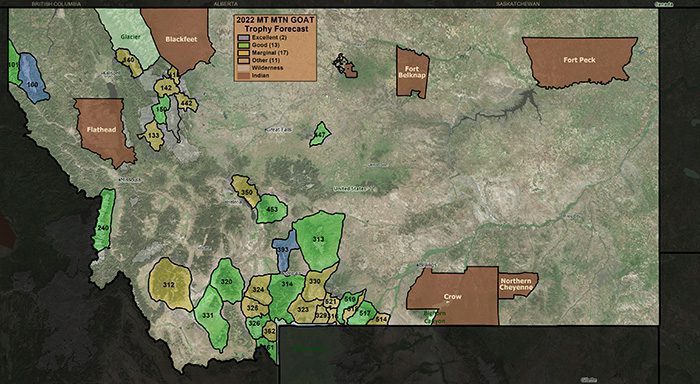 2022 MT Mountain Goat Forecast