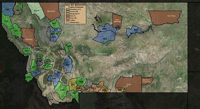 2022 MT Sheep Entry Trophy Forecast