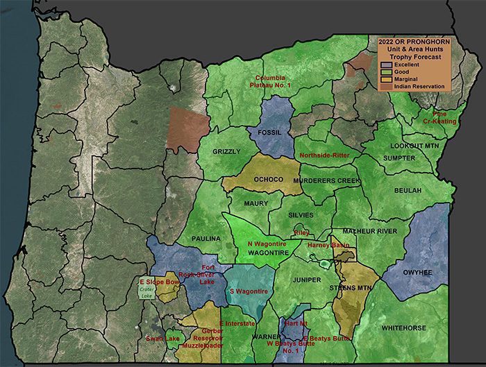 2022 OR Pronghorn All Hunts Trophy Forecast