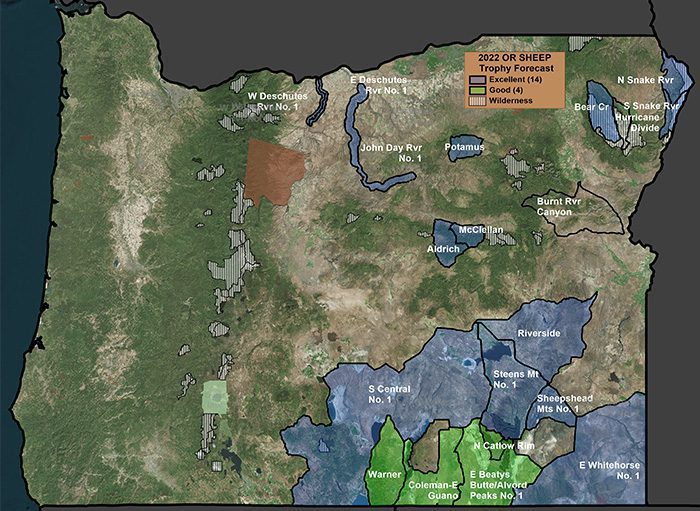 2022 OR Sheep Trophy Forecast