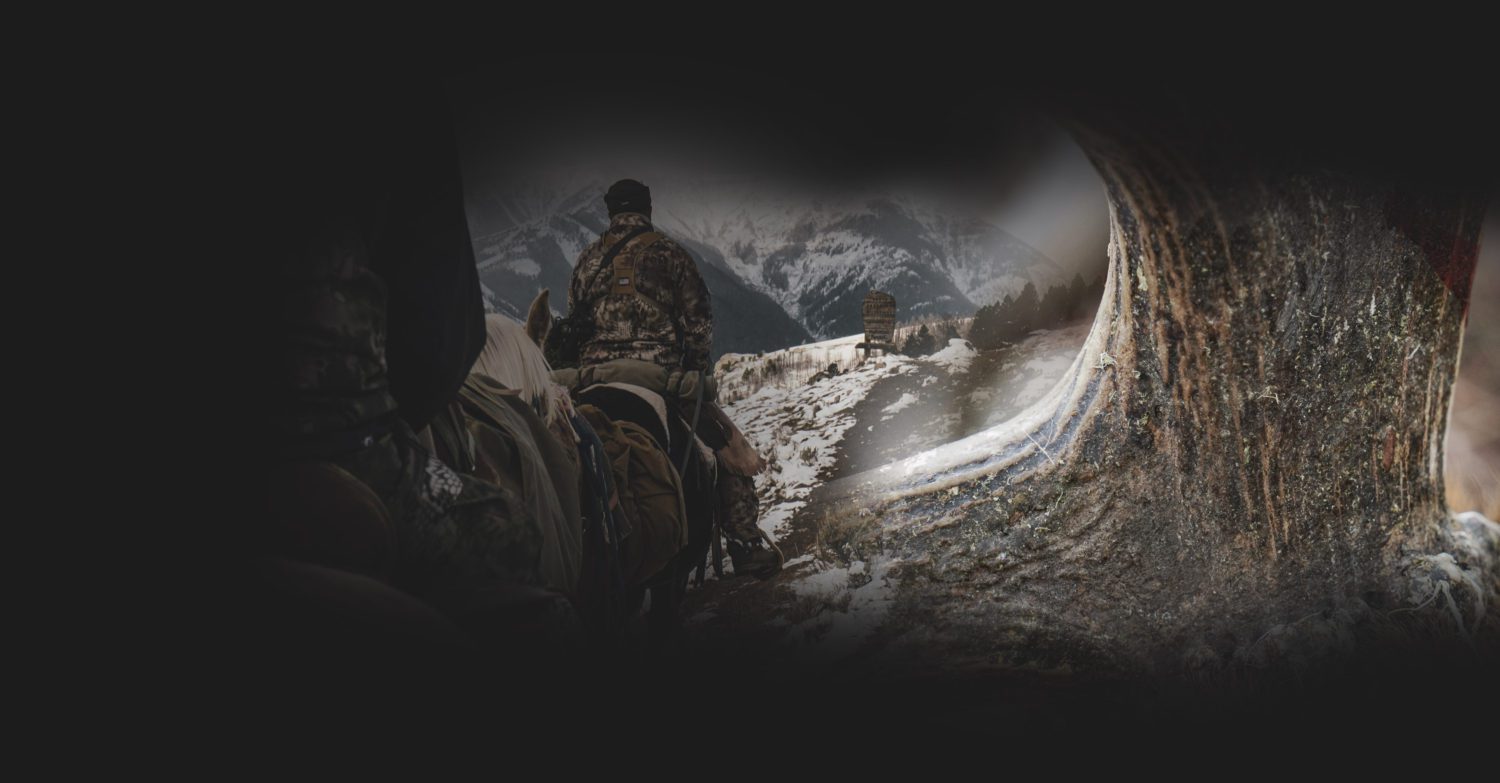 Backcountry experts