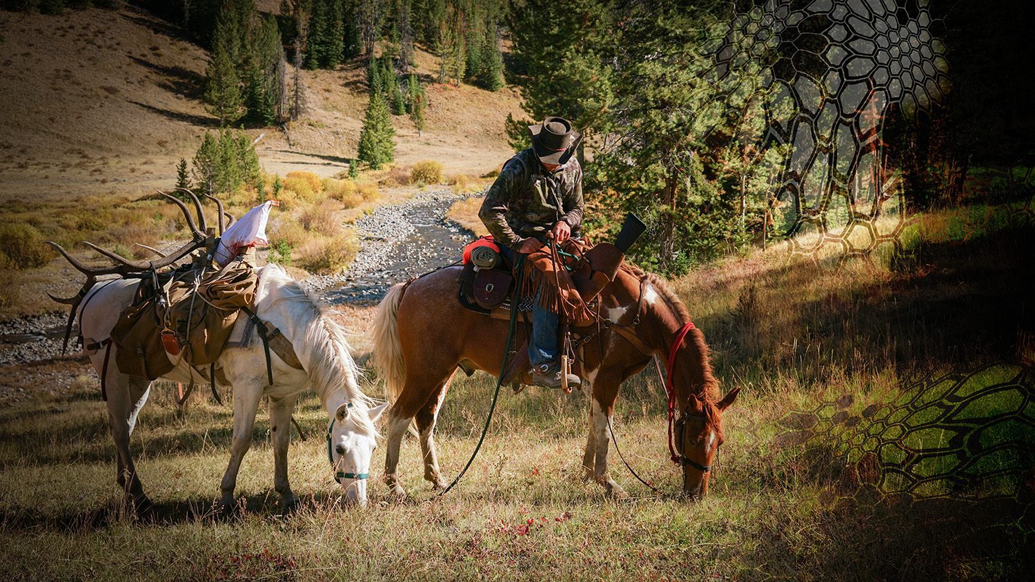 Kryptek and Horses