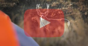 Webisode_2017_MT_Deer_HW_R_Thumbnail_V1