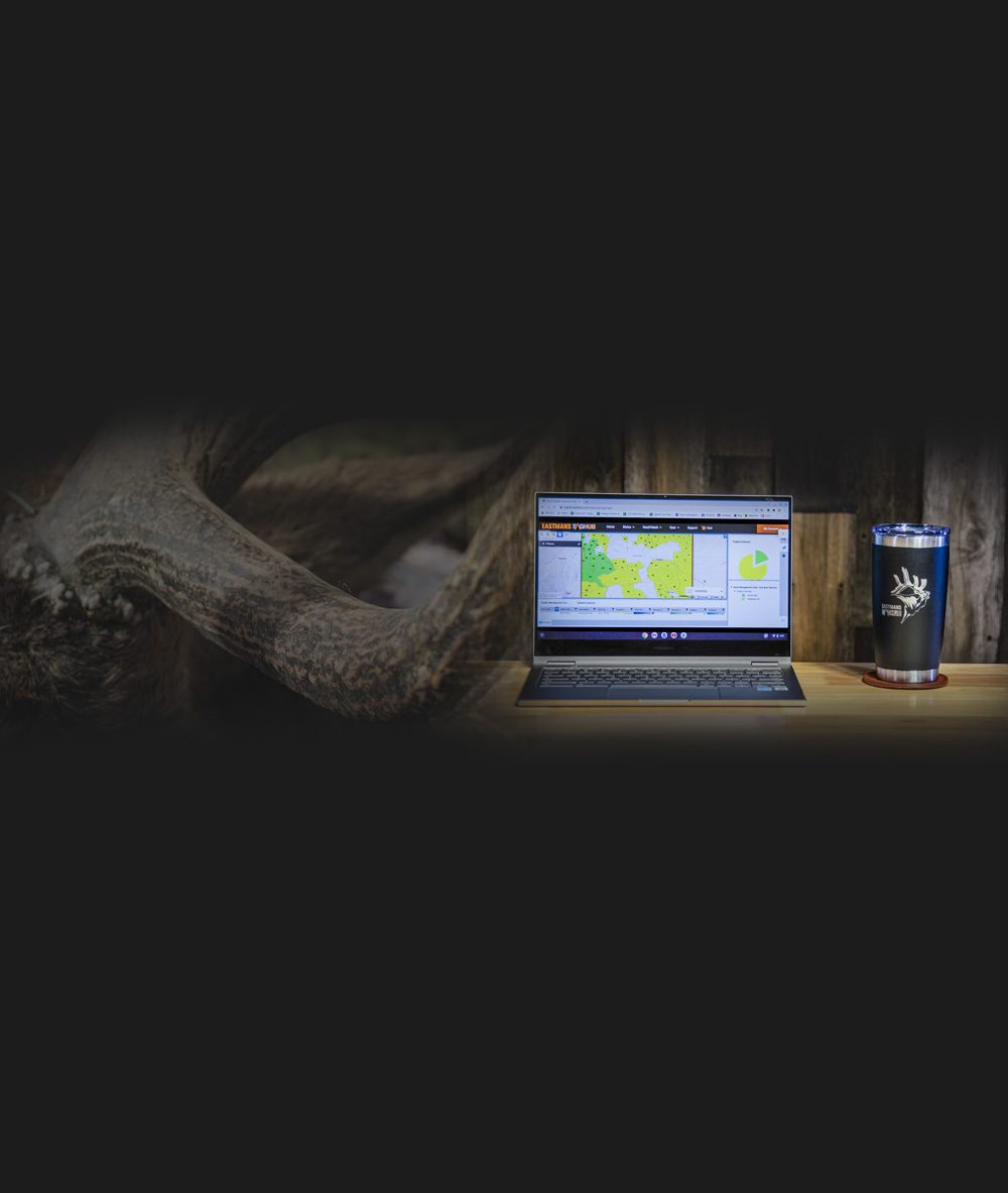 Your Hunt Starts Here