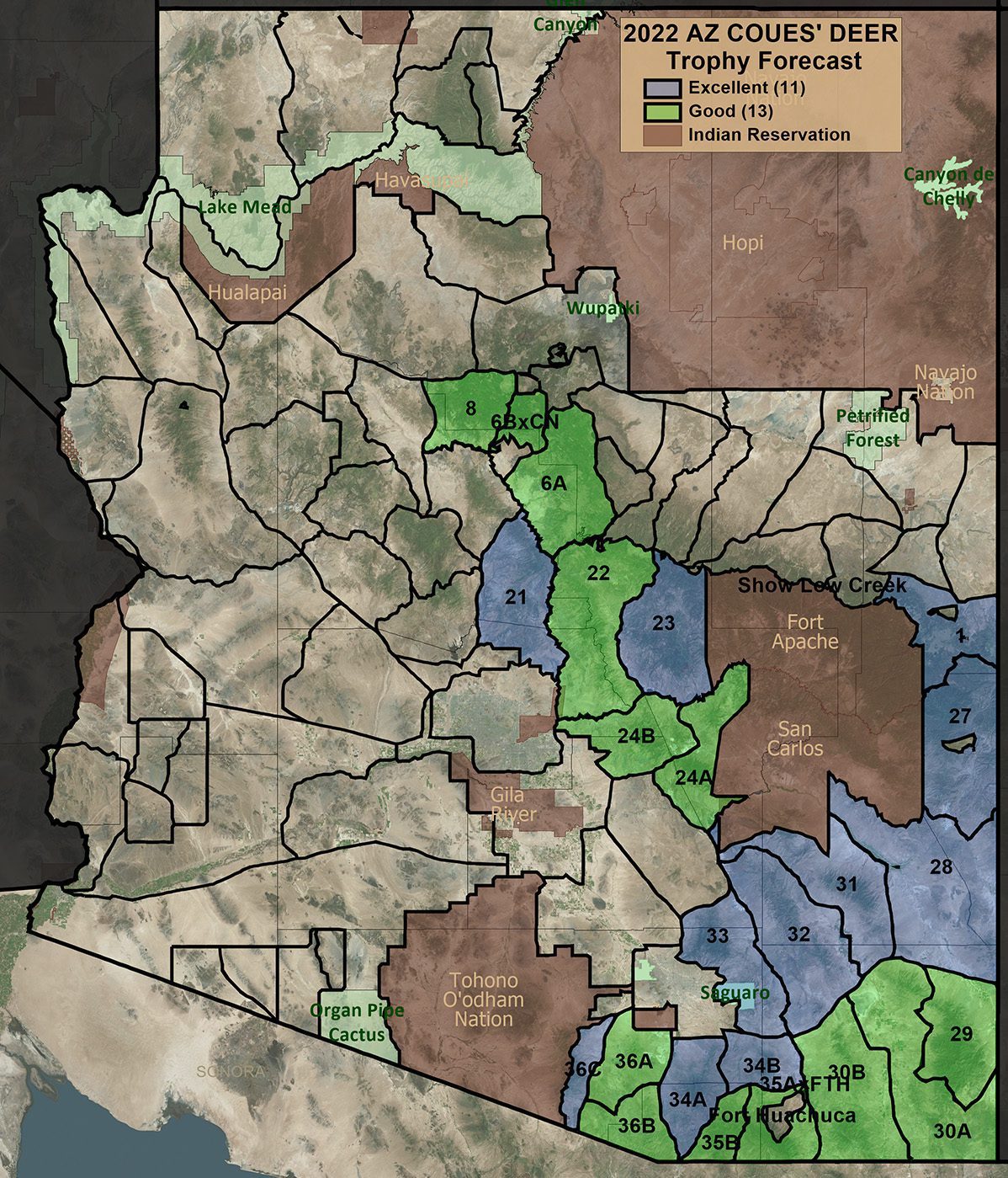 2022 AZ Coues Deer Trophy Forecast