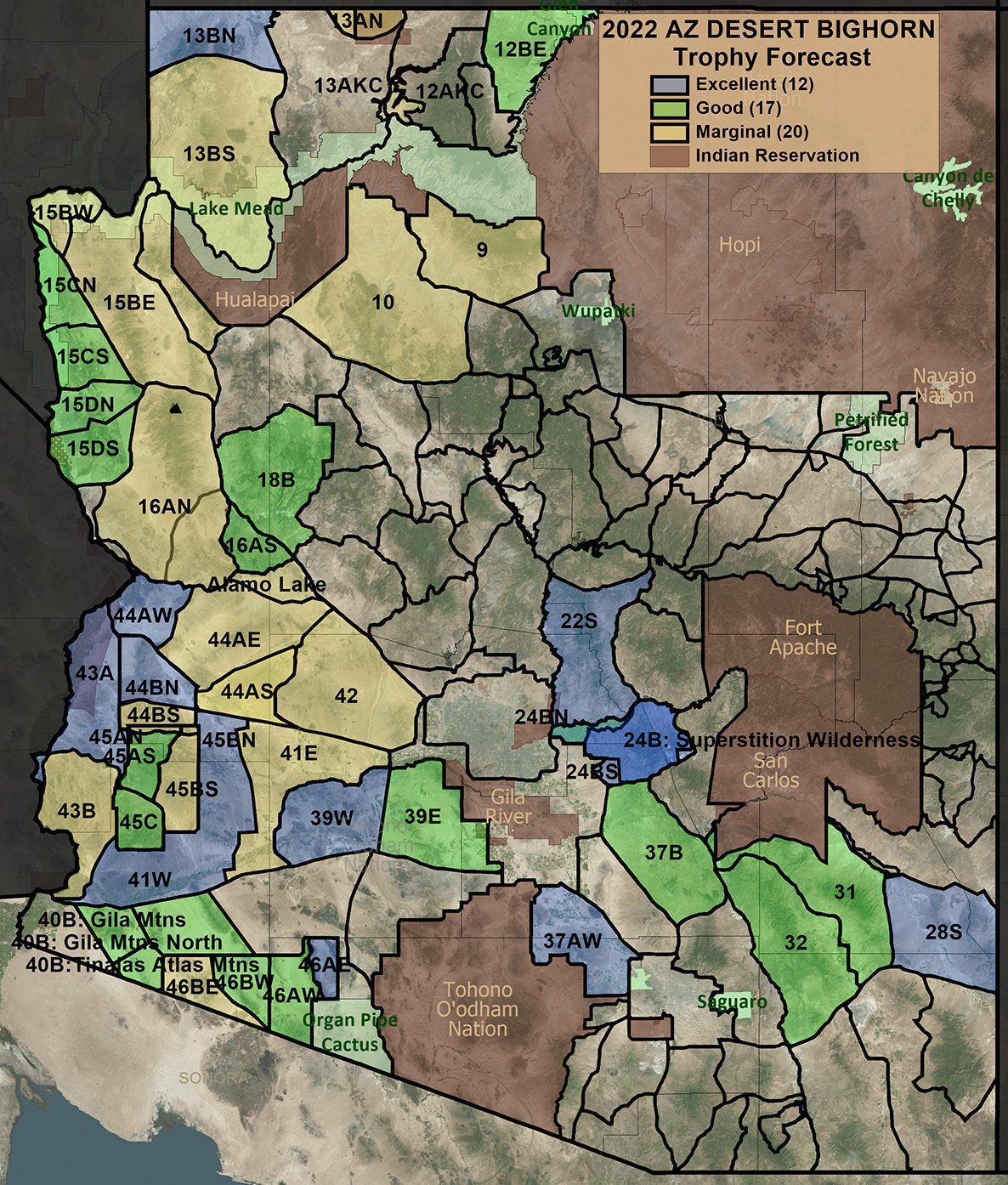 2022 AZ Desert Bighorn Trophy Forecast