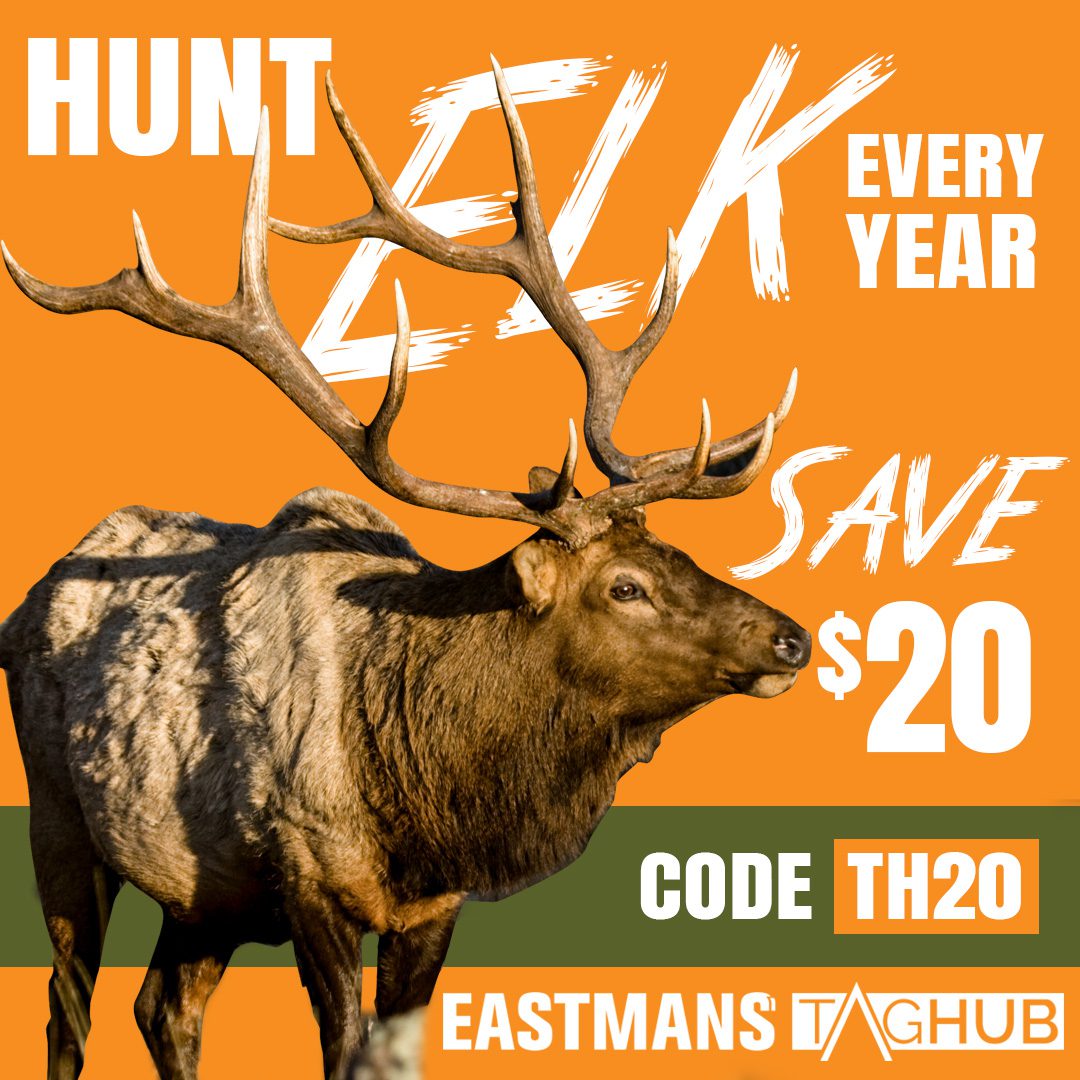 Elk_1080x1080_Live