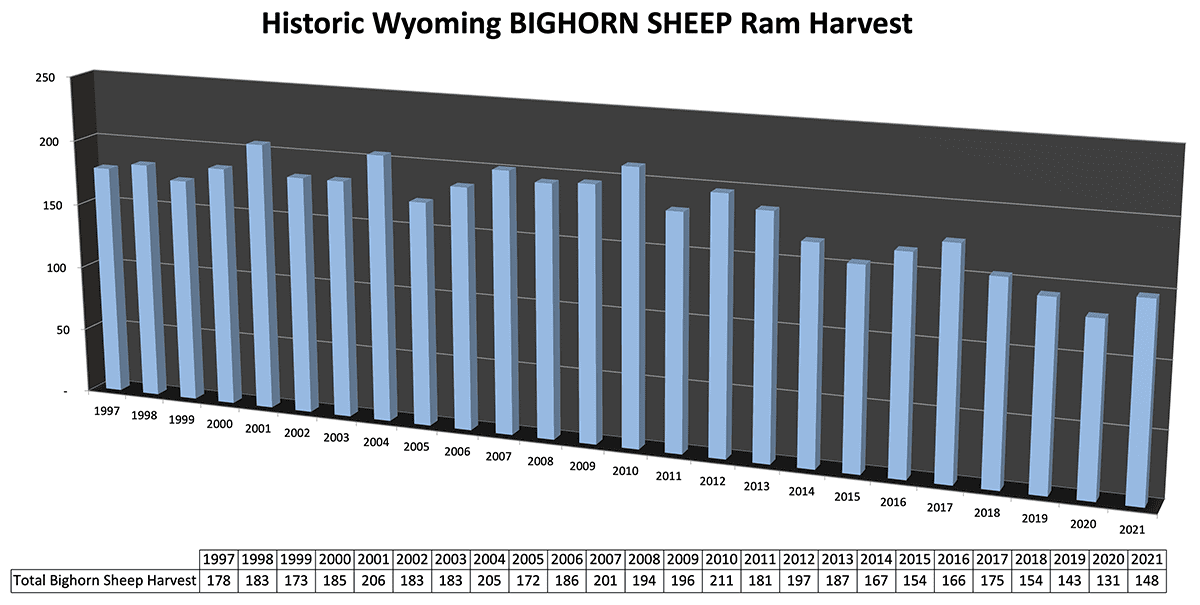 Historic Wyoming BIGHORN SHEEP Ram Harvest_Apr22