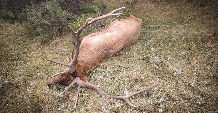 050922_Conner Brown-ELK-MT-DIY-PL