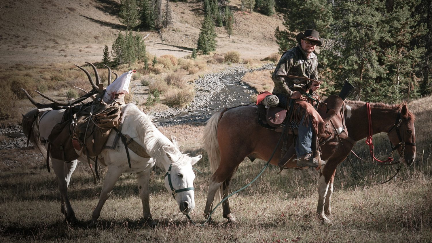 WY_Elk_Dan_Ike_bw2
