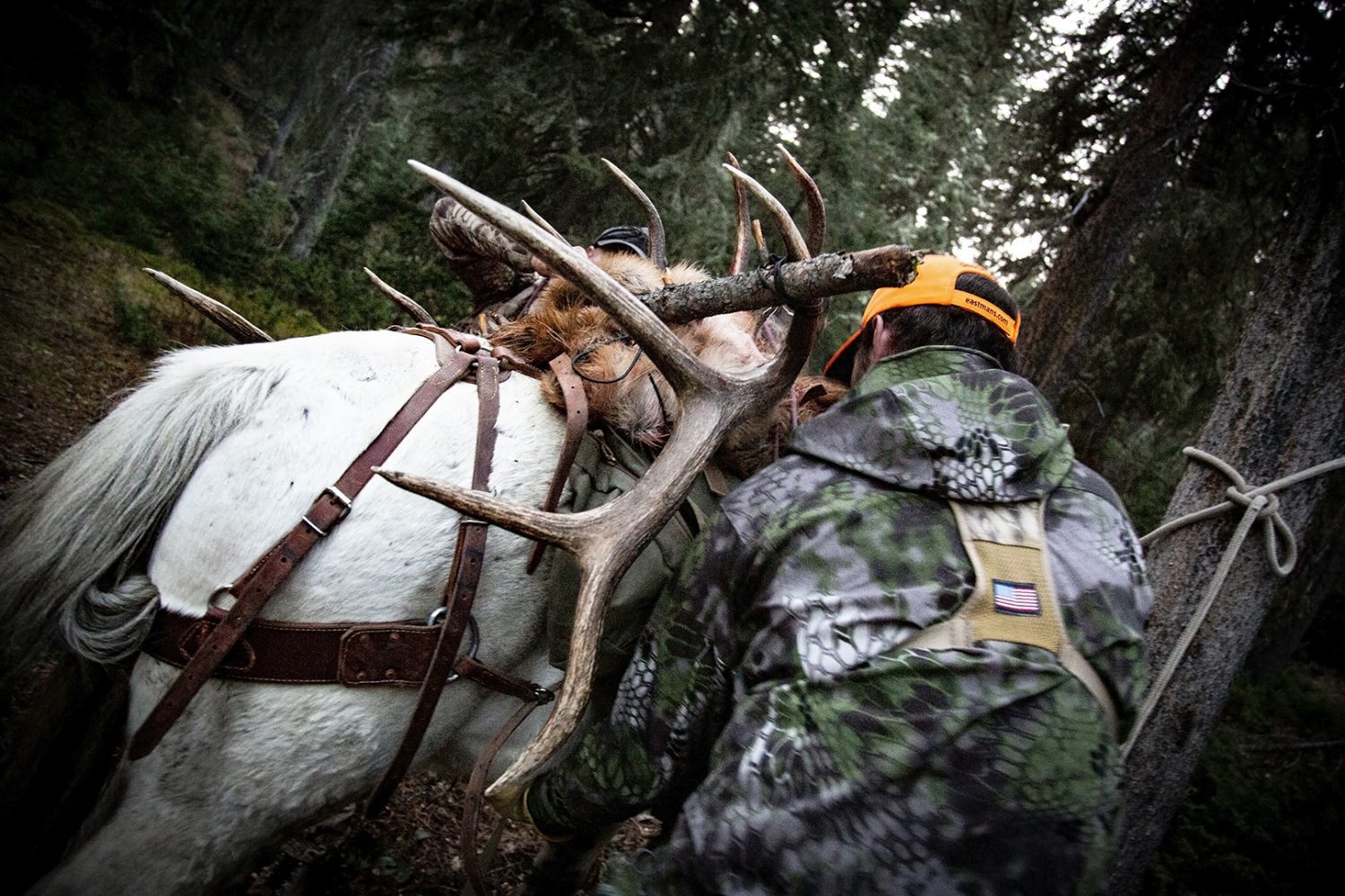 WY_Elk_R_LukeW_24