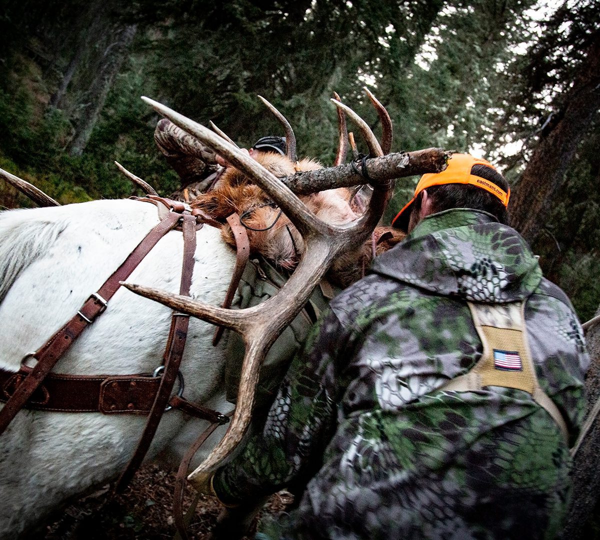 WY_Elk_R_LukeW_24_sm