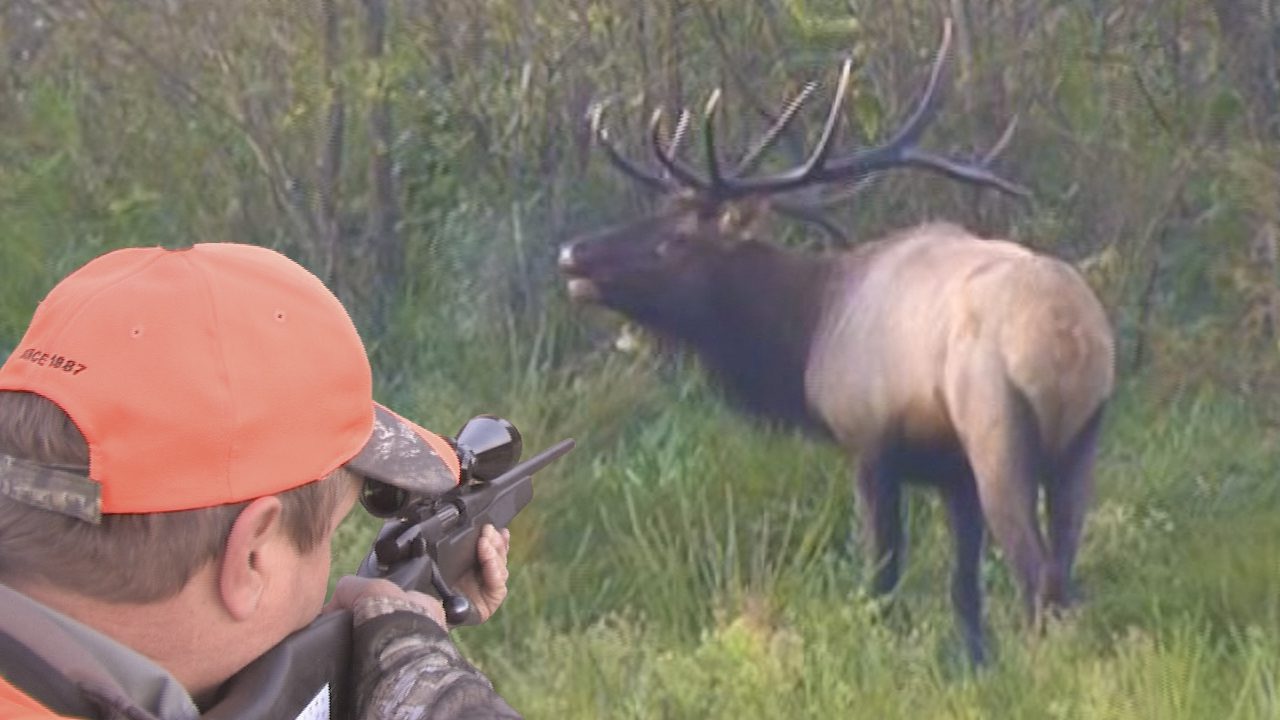 Webisode_2010_KY_Elk_JohnS_R_Thumbnail_V2