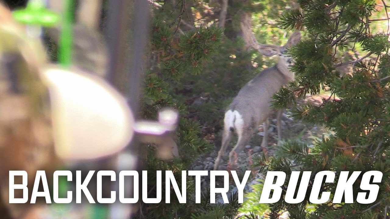 Webisode_2017_ID_Deer_BrianB_B_Thumbnal_V2 copy