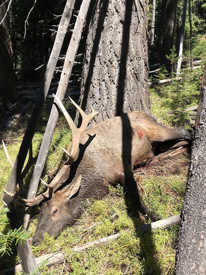 060622_Dale Stutevoss-ELK-OR-DIY-PL_IMG_1513