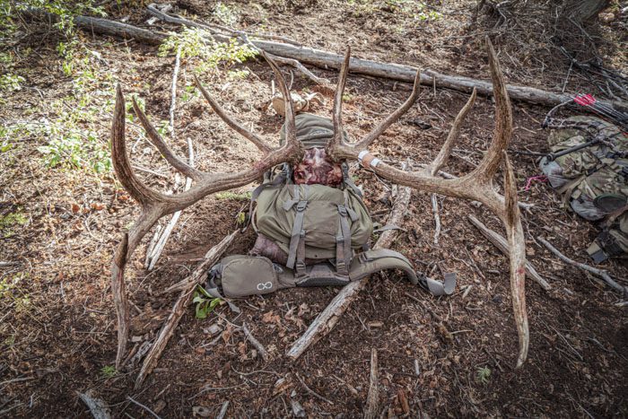062022-Dan Solsman-ELK-ID-DIY-PL_DSC01582_sm