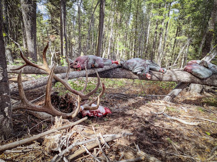 062022-Dan Solsman-ELK-ID-DIY-PL_IMG_2631-2_sm