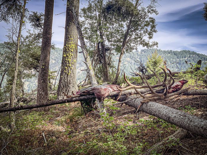 062022-Dan Solsman-ELK-ID-DIY-PL_IMG_2635-2_sm