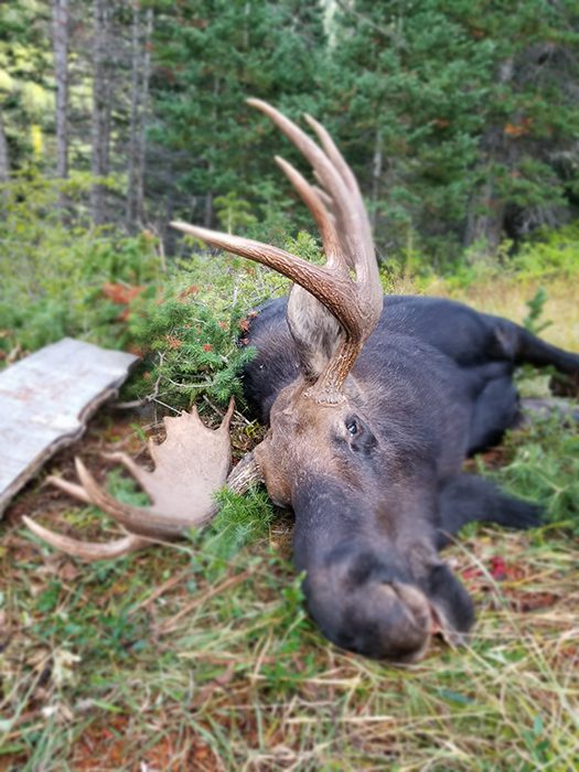 070422_Wade Walker-MOOSE-UT-DIY-PL_3
