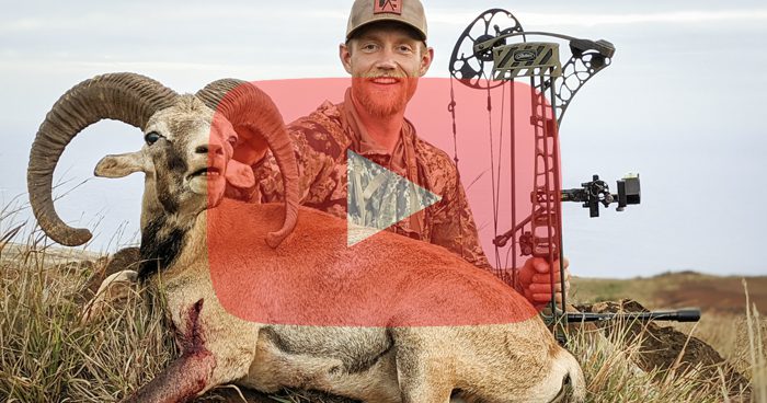 Dan Pickar of Beyond the Grid shares his 2022 bow setup