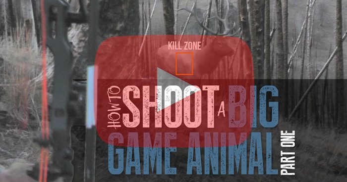 How to Shoot an Animal with a Bow - Part 1