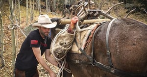 Why 10 of Hunters Harvest 90 of The Bulls - Cliff Gray_Thumb