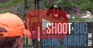 How to Shoot an Animal with a Bow - Part 2