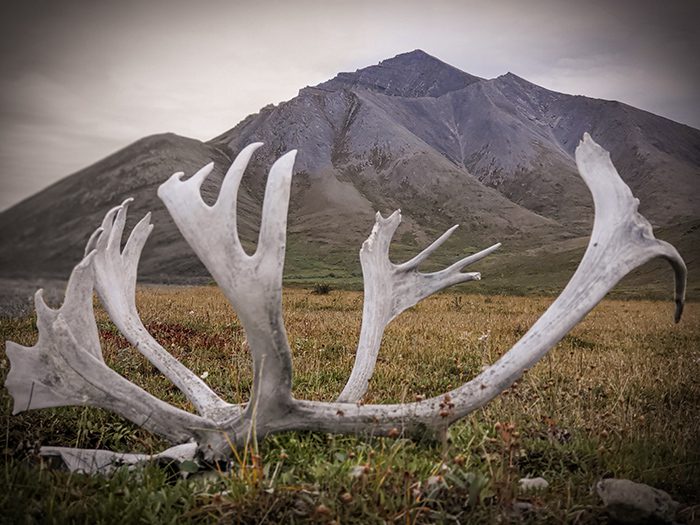 Ryan Fleury-Caribou-AK-DIY-PL_20190811_202224