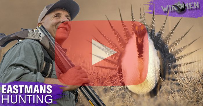 SageGrouse_ShortFilm_Thumbnail