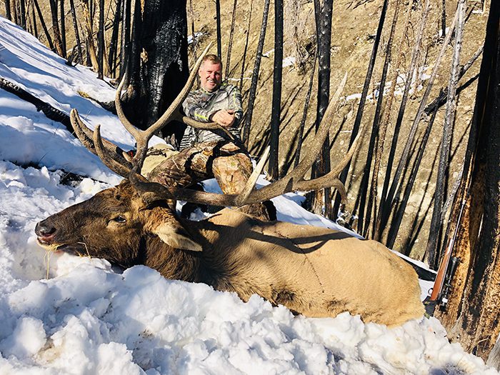 091222_Tony Chase Golden-ELK-WY-GD-PL_Tonys elk (1)