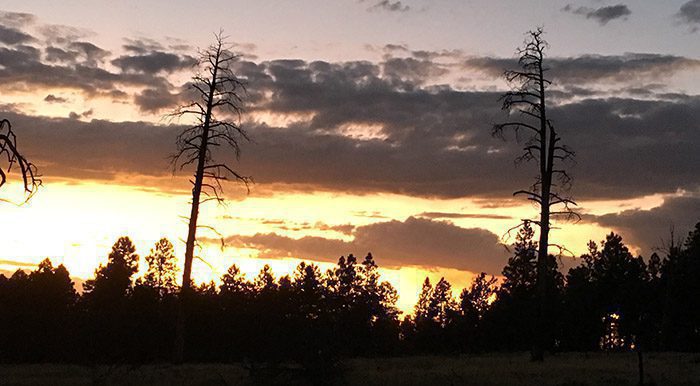 092622_Mike Ornoski-ELK-AZ-DIY-PL_002