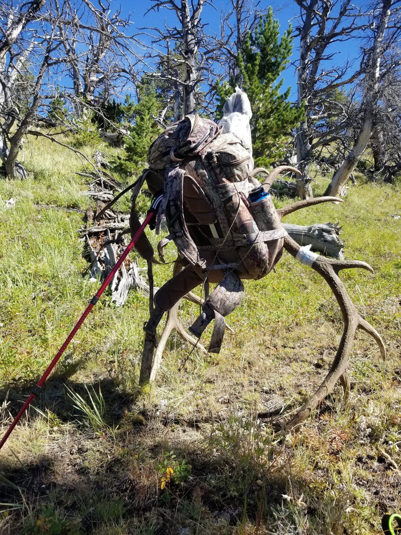 101022_Mike Reney-ELK-WY-DIY-PL_20190901_141239(0)