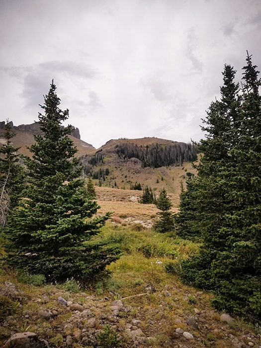 101022_Mike Reney-ELK-WY-DIY-PL_20190908_110432