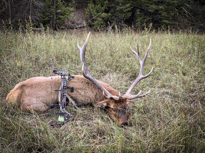 120522_Klinton Chupp-ELK-MT-DIY-PL_19D7CF5B-9FD0-4A3F-A473-0490217AF6EC_1_201_a_sm