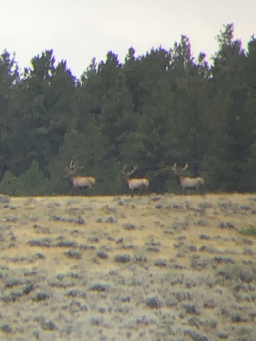 120522_Klinton Chupp-ELK-MT-DIY-PL_373CBAAB-B661-4C26-9E09-3FC2E0FAD751_sm
