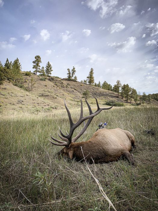 120522_Klinton Chupp-ELK-MT-DIY-PL_932B0389-7080-48D2-8AA1-6860D482F743_sm
