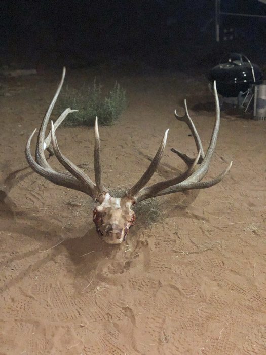121922_Justin Keeling-ELK-AZ-GD-PL_025