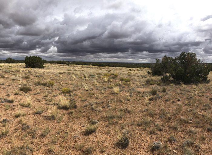 121922_Justin Keeling-ELK-AZ-GD-PL_026